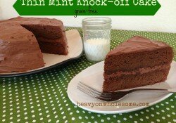 Thin Mint Cake-picmonkey