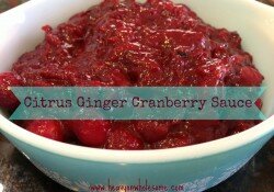 cranberry sauce